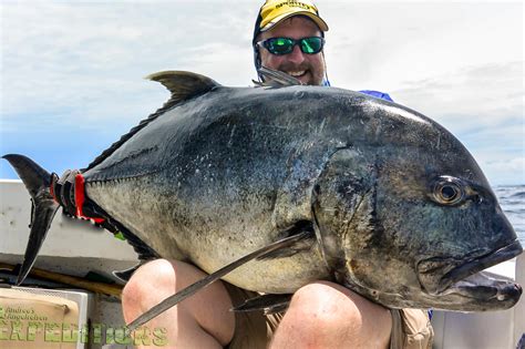 madagascar fishing trips|Madagascar Fishing Holidays .